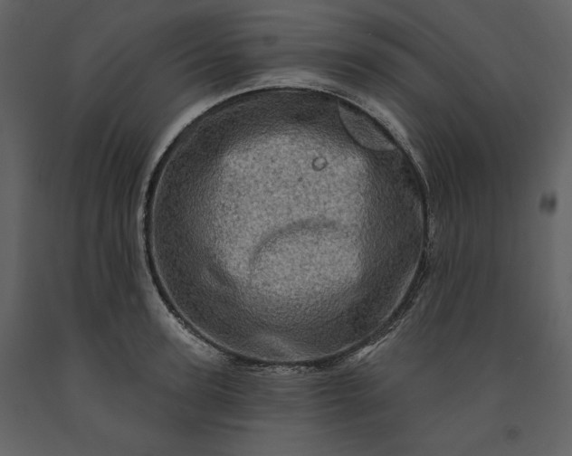 X0000091210947200708231604