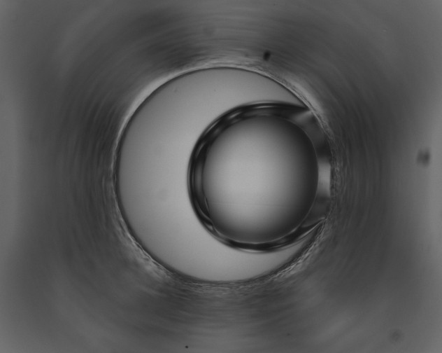 X0000091210948200708231604