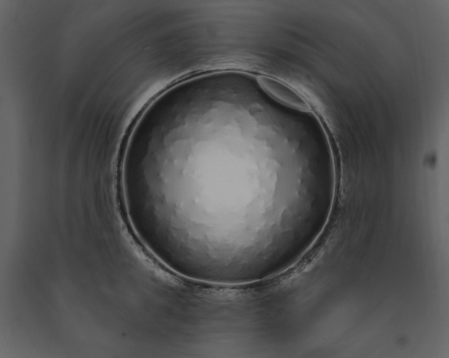 X0000091210949200708231604