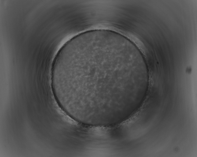 X0000091210950200708231604