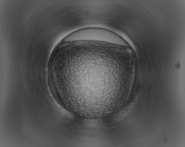 X0000091210951200708231604