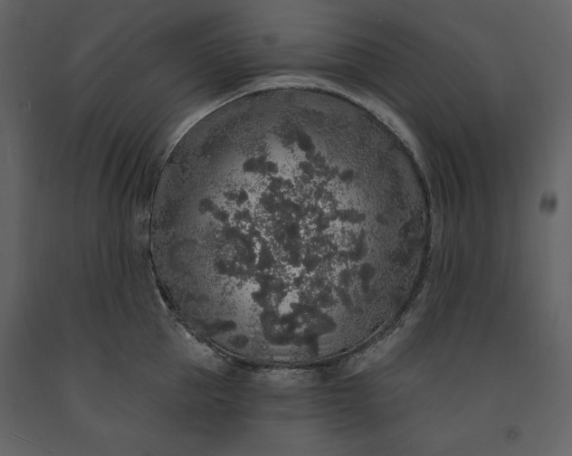 X0000091210953200708231604