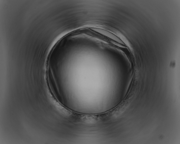 X0000091210955200708231604