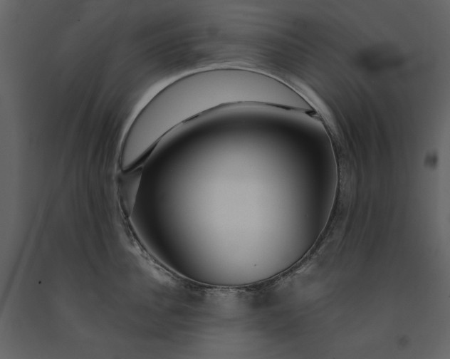 X0000091210956200708231604