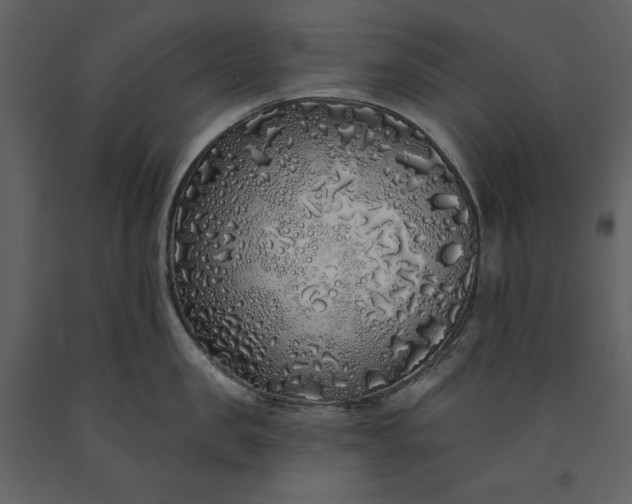 X0000091210957200708231604