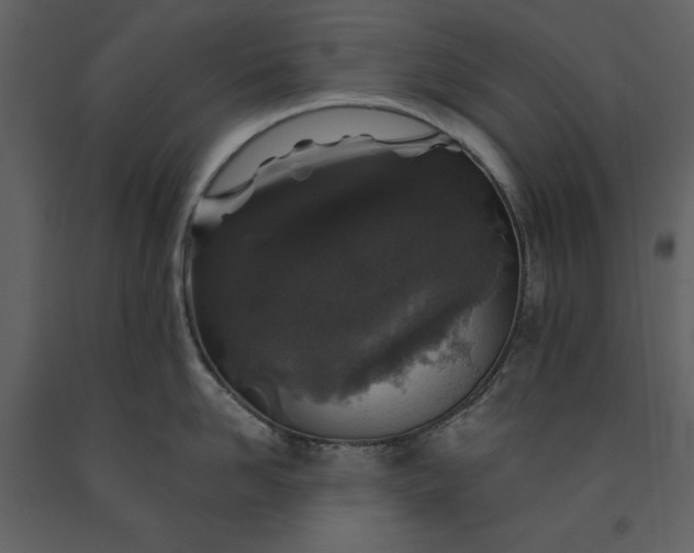 X0000091210958200708231604
