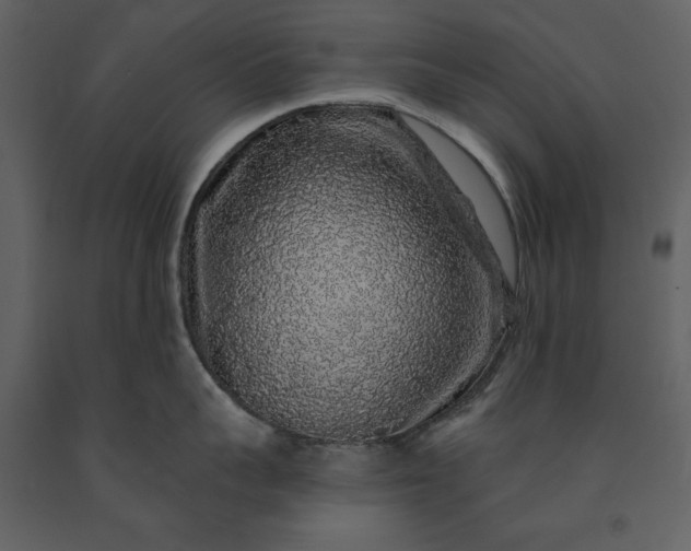 X0000091210959200708231604