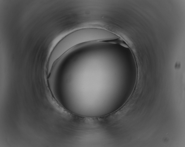 X0000091210960200708231604
