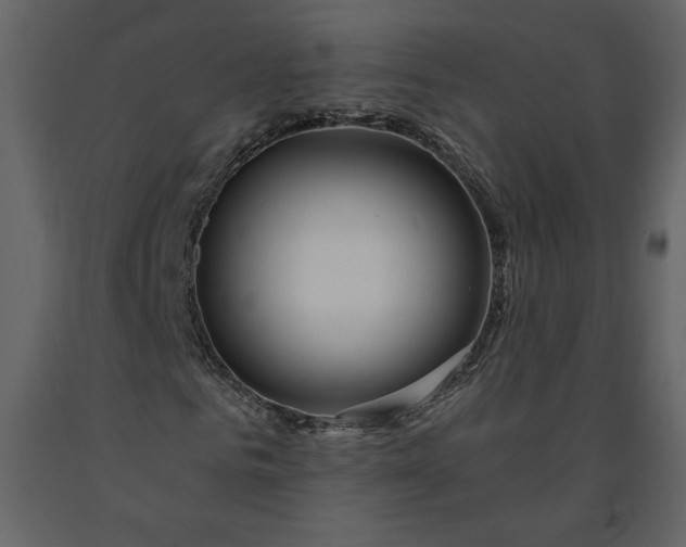 X0000091210961200708231603