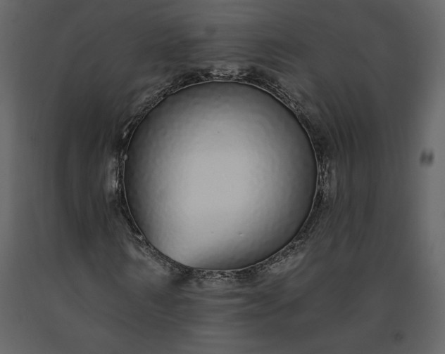 X0000091210962200708231603