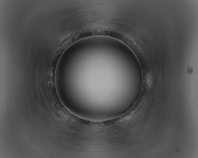 X0000091210964200708231603