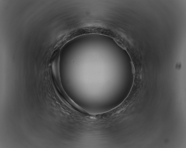 X0000091210965200708231603