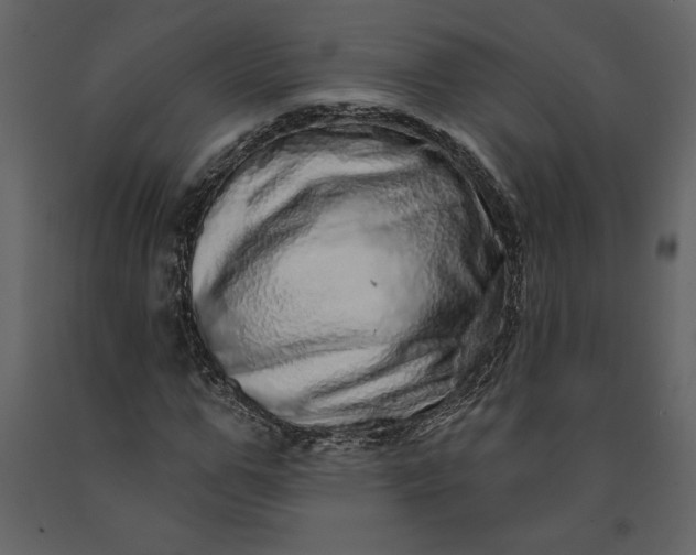 X0000091210967200708231603