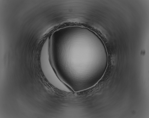X0000091210968200708231603