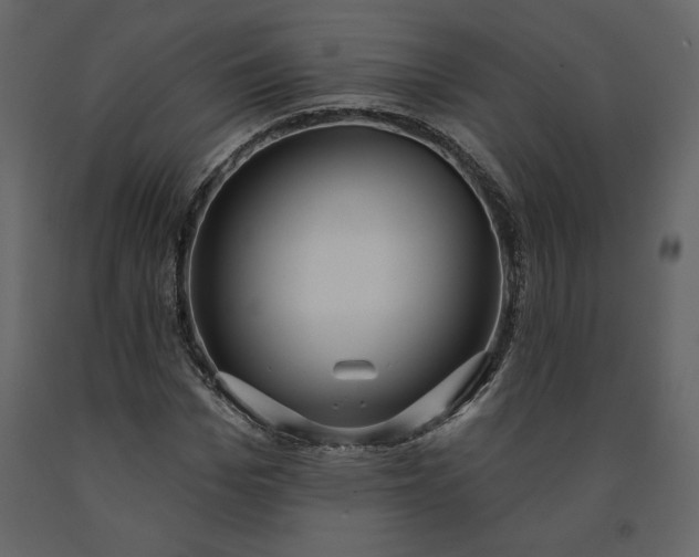X0000091210969200708231603