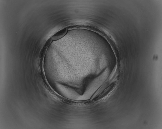 X0000091210970200708231603