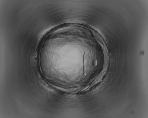 X0000091210971200708231603
