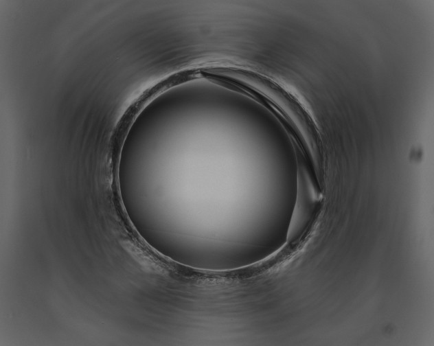 X0000091210973200708231603