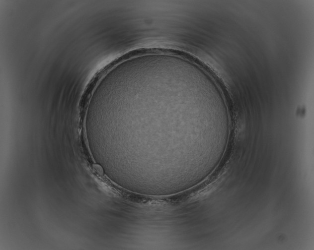 X0000091210974200708231603