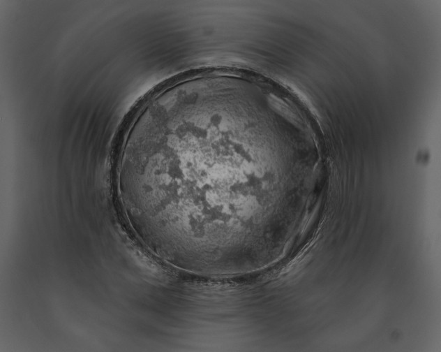 X0000091210975200708231603