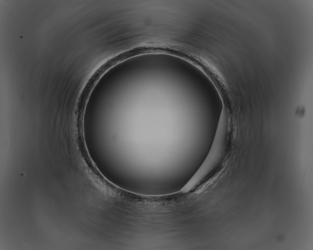 X0000091210976200708231603