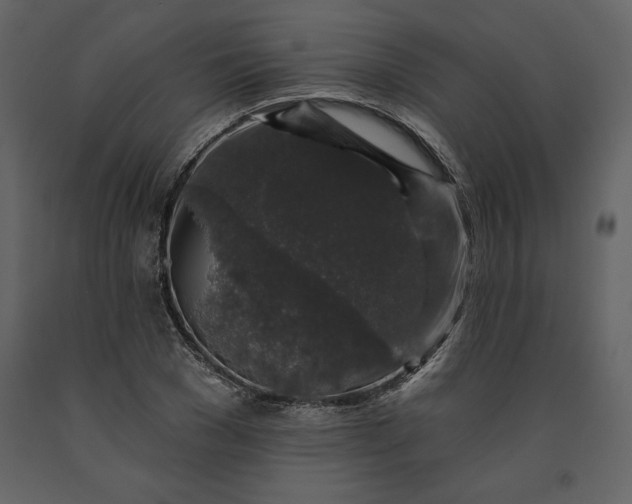 X0000091210977200708231603