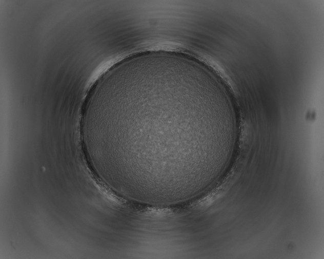 X0000091210978200708231603