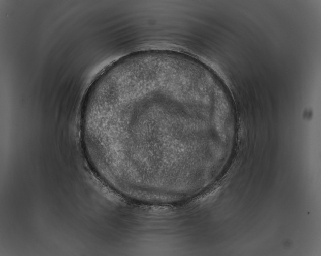 X0000091210979200708231603