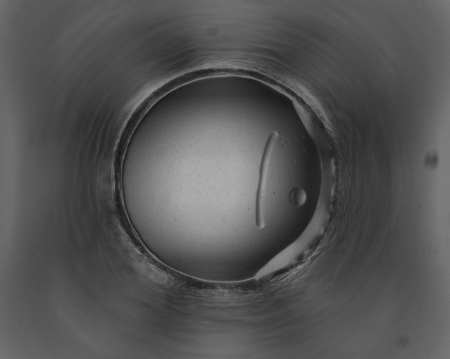 X0000091210980200708231603