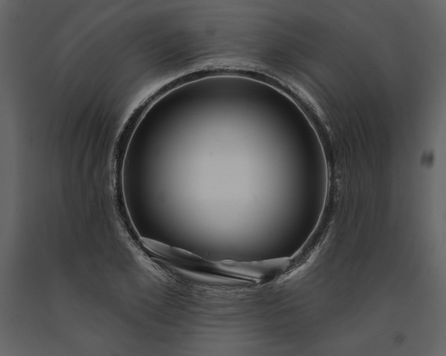 X0000091210981200708231603