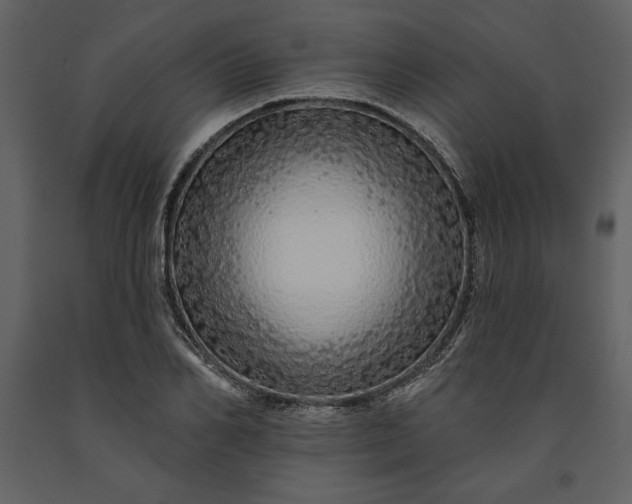 X0000091210982200708231603