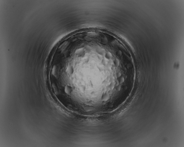 X0000091210983200708231603