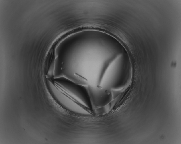 X0000091210984200708231603