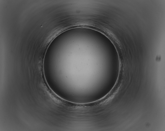 X0000091210985200708231603
