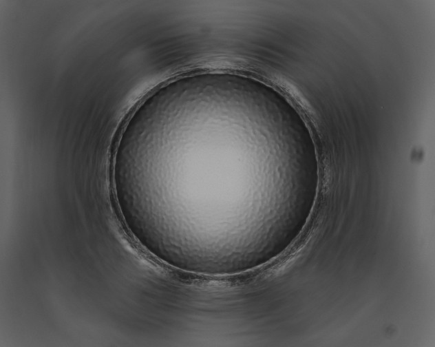 X0000091210986200708231603