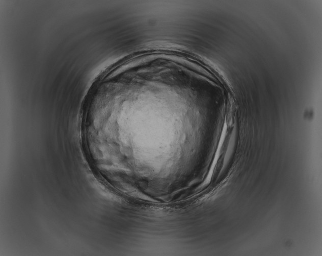 X0000091210987200708231603