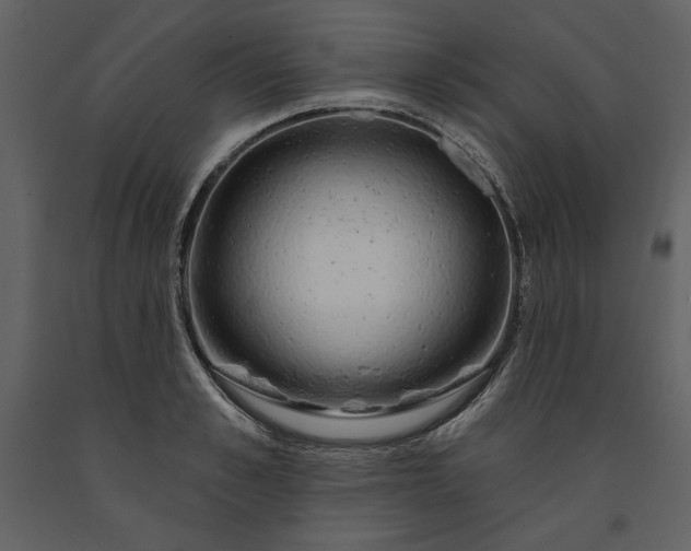 X0000091210989200708231603