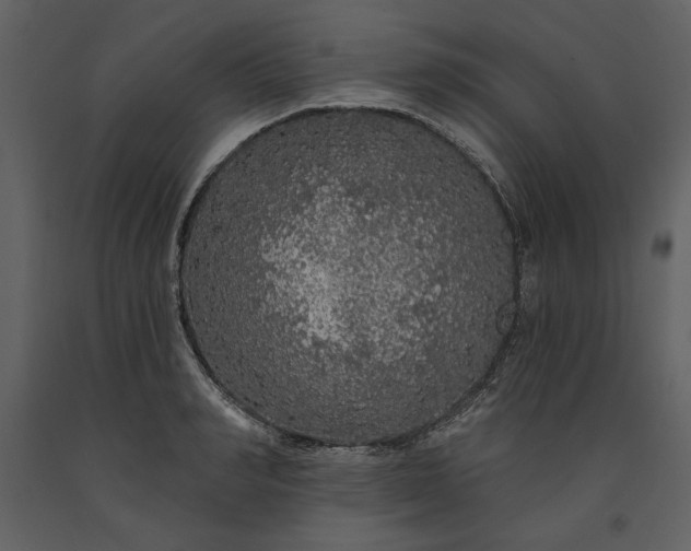 X0000091210990200708231603