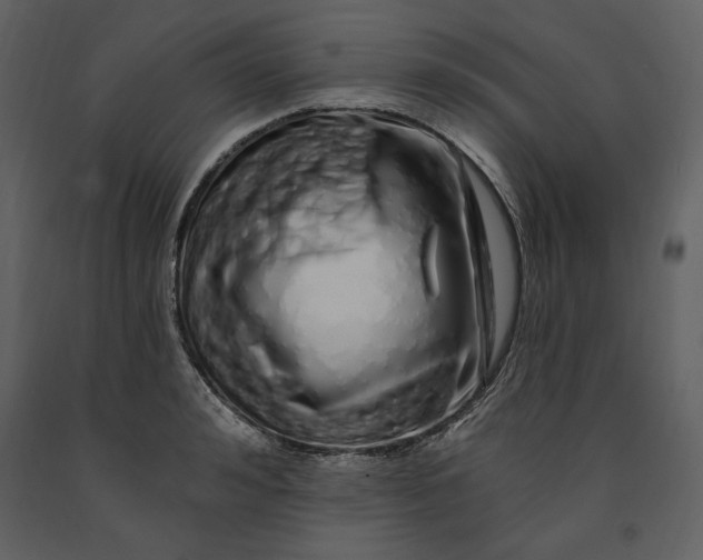X0000091210992200708231603