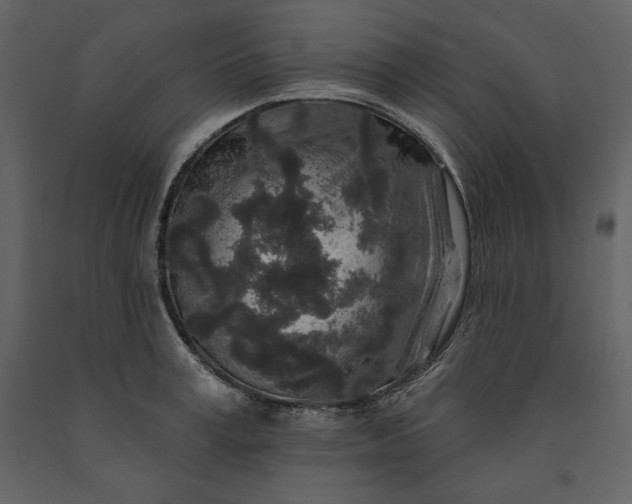 X0000091210995200708231603