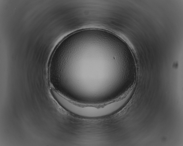 X0000091210996200708231603