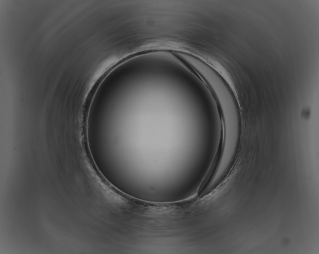 X0000091210997200708231603