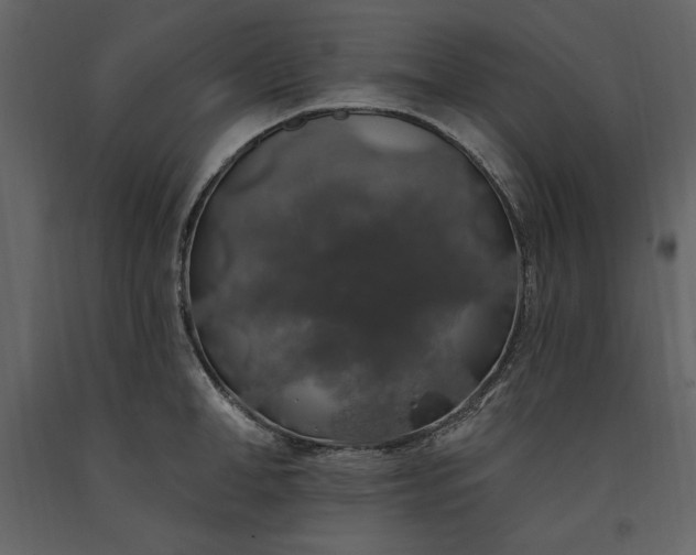 X0000091210998200708231603