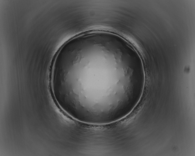 X0000091210999200708231603