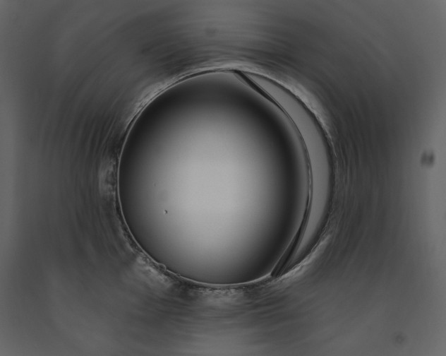 X0000091211001200708231603