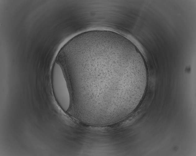 X0000091211004200708231603