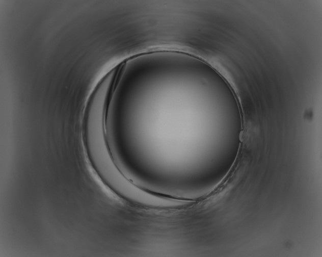 X0000091211005200708231603