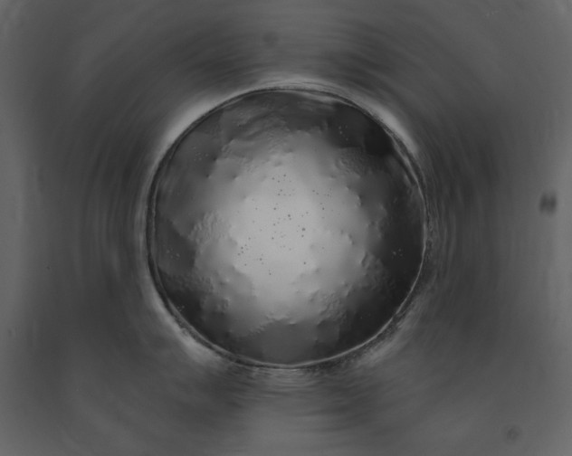 X0000091211007200708231603