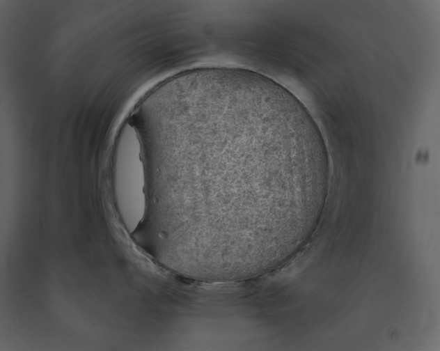 X0000091211008200708231603