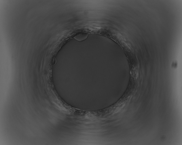 X0000091211009200708231602